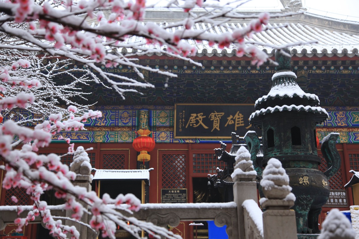 红螺寺AAAA冬