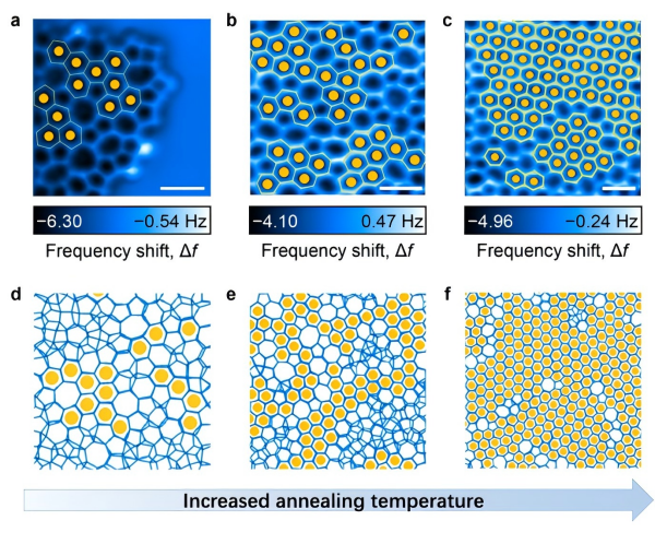 WPS图片(1) WPS图片(1)