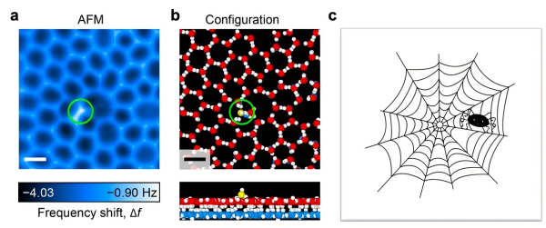 The Atomic-Scale Ordering Mechanism of Two-Dimensional Ice The Atomic-Scale Ordering Mechanism of Two-Dimensional Ice