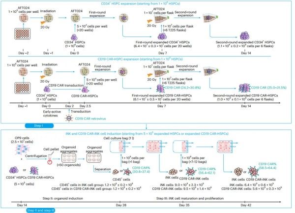 Nature Biomedical Engineering1