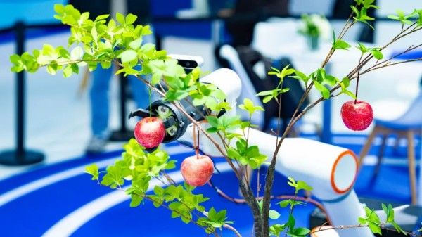 20251020_112337_027 20251020_112337_027