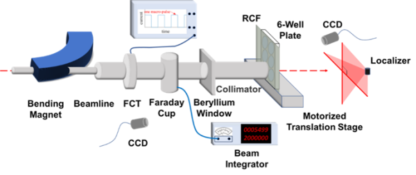 重离子所团队为FLASH效应首次提供基于细胞色素c的线粒体假说实验证据