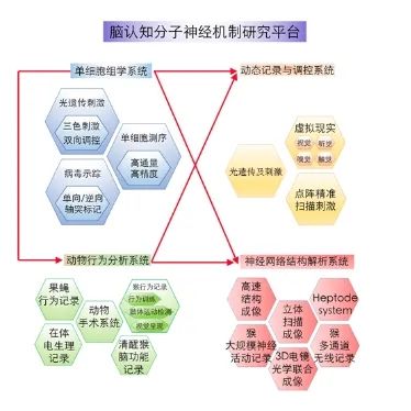 20251208_110235_004 20251208_110235_004