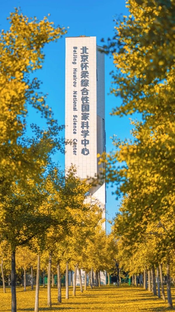 20251029_103631_006 20251029_103631_006