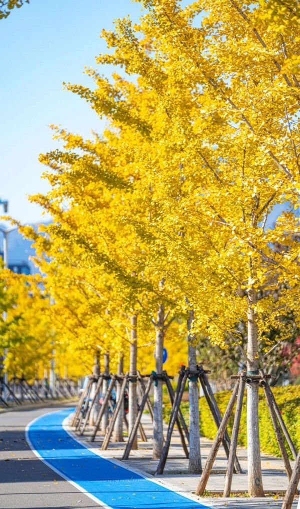 20251029_103631_007 20251029_103631_007