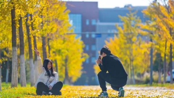 20251029_103631_008 20251029_103631_008