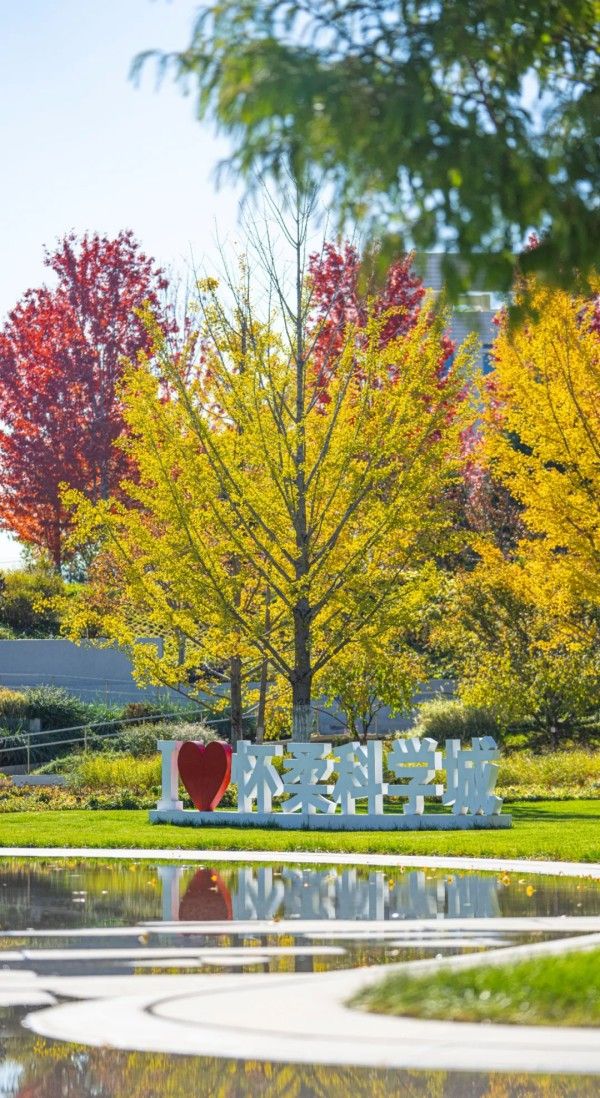 20251029_103631_009 20251029_103631_009