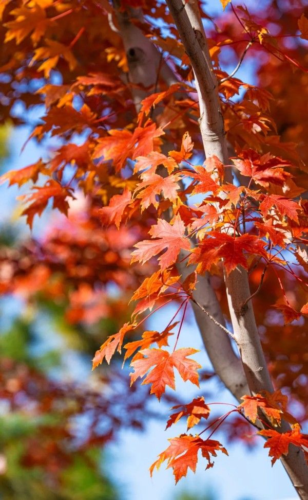 20251029_103631_010 20251029_103631_010