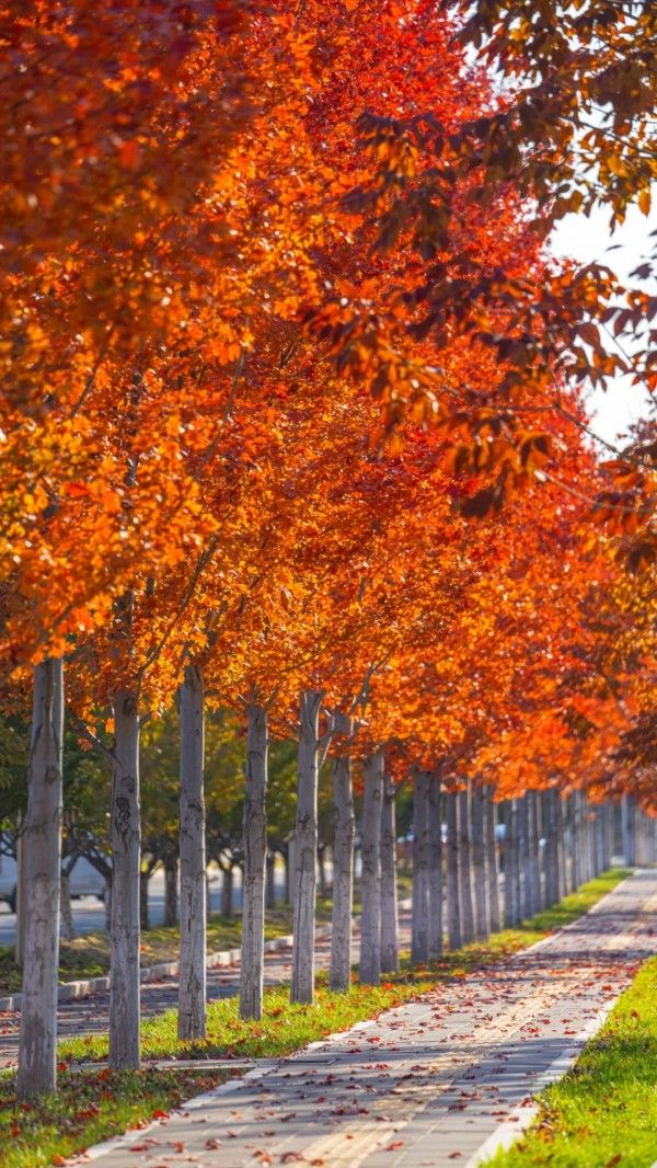 20251029_103631_011 20251029_103631_011