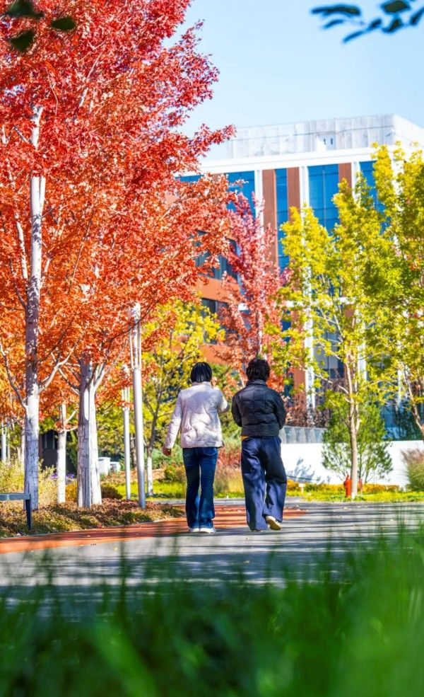 20251029_103631_012 20251029_103631_012