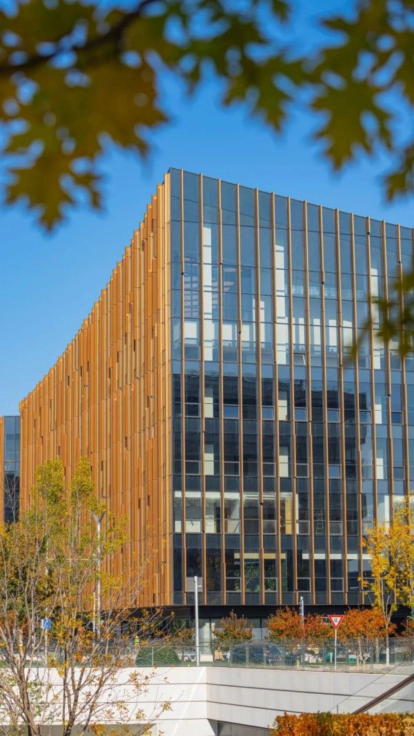 20251029_103631_021 20251029_103631_021