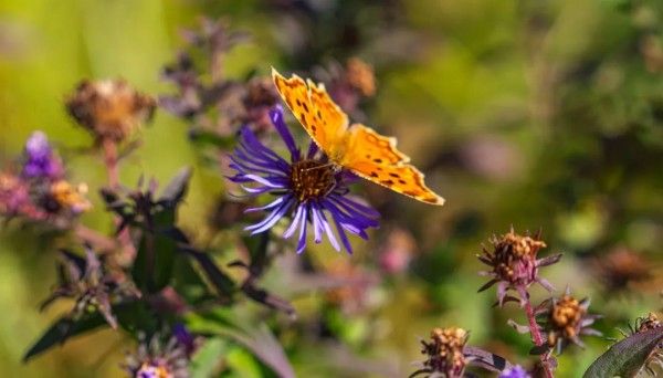 20251029_103631_023 20251029_103631_023