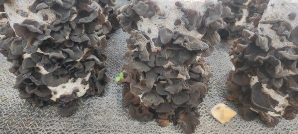 　　03科普阅读及文化市集1