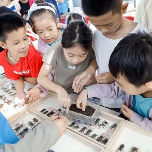 主题展