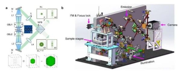 为细胞研究提供新工具